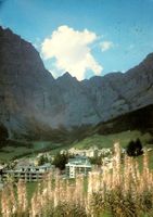 LEUKERBAD Gemmipass