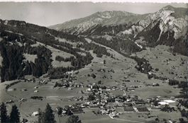 LENK