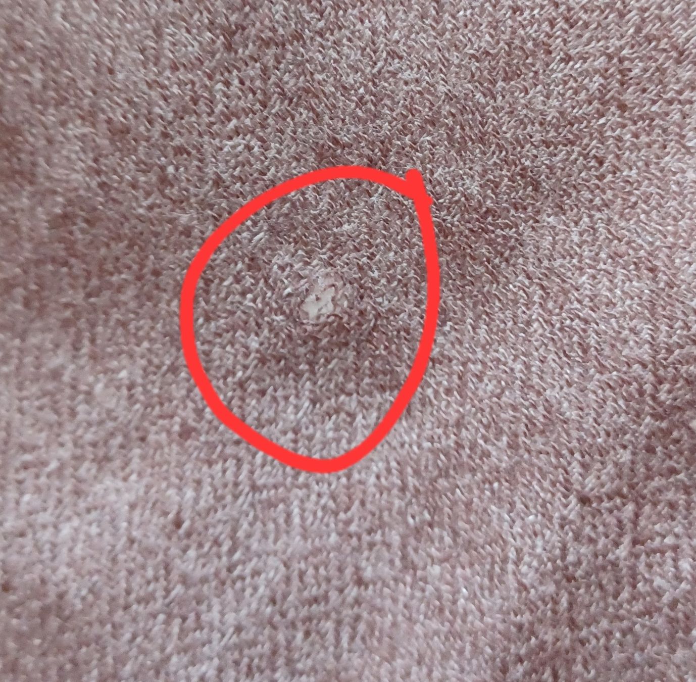 Foulards, Tücher & Schals: Pashmina scarf 68x200 – Neu und originalverpackt aus Gstaad von sasha0270 2