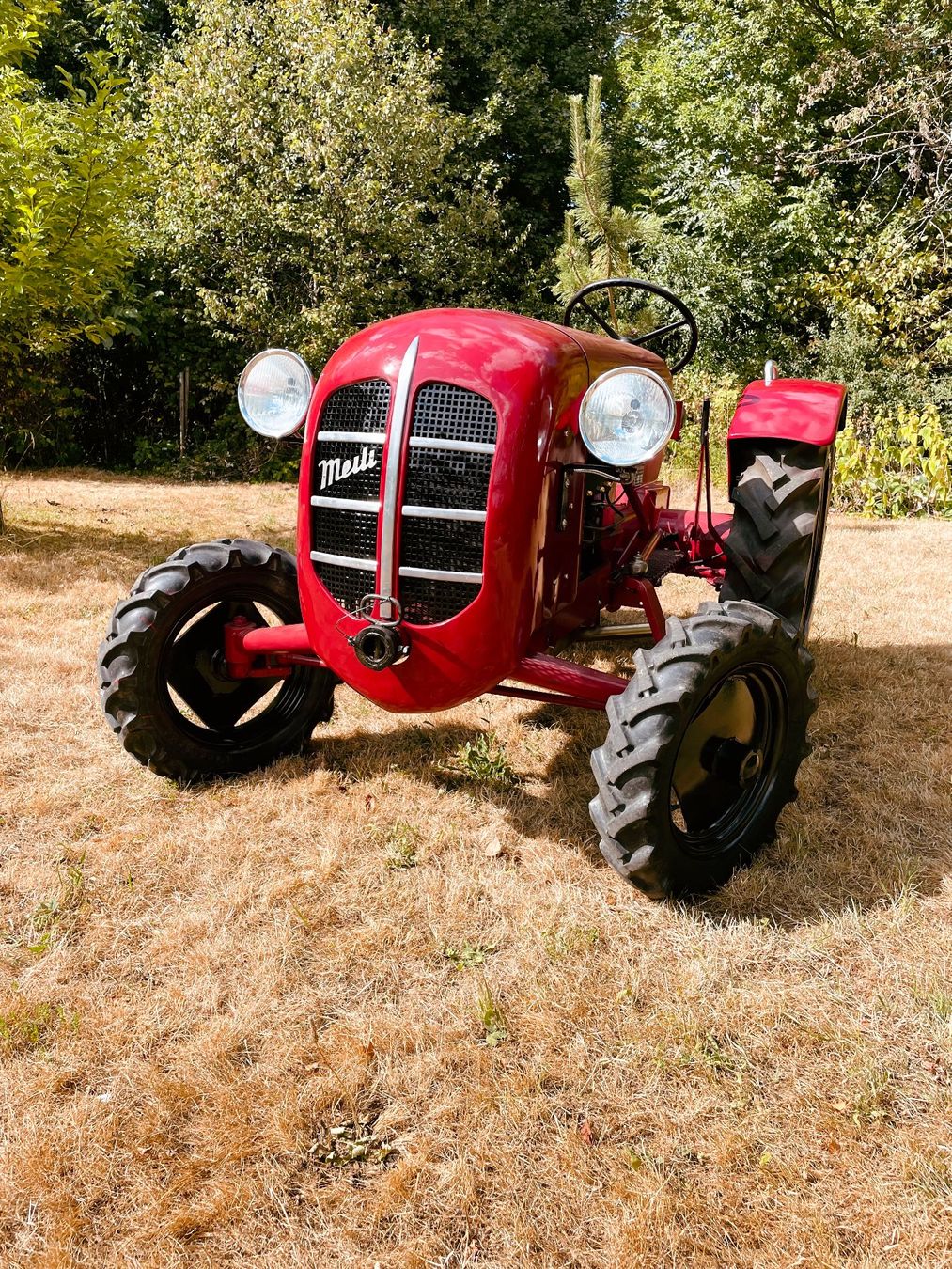 Meili Trattori: Meili P 55 B ab MFK – Usato da Arboldswil venduto da Bebbi66 1