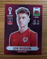 Panini WM 2022-WAL 10
