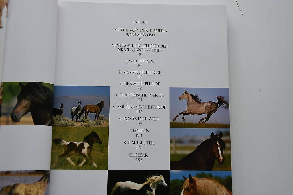 Libri: Pferdebücher – Usato da Kirchdorf AG venduto da nif_pmw9 3