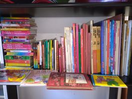 Lot de livres pour enfants et jeunes lecteurs - selon photos