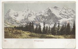 um 1900 Wengernalp alte Karte Wengen +++