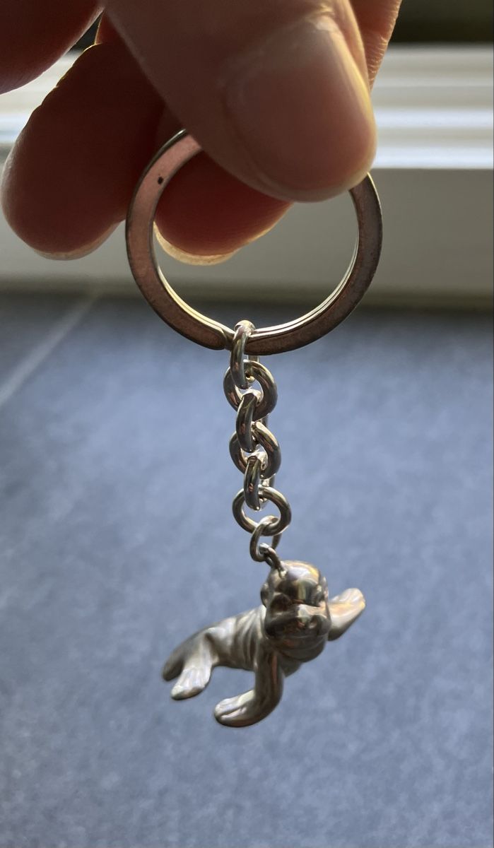 Portachiavi: Silver Seal Keychain – Nuovo (secondo la descrizione) da Wettingen venduto da BAG4478