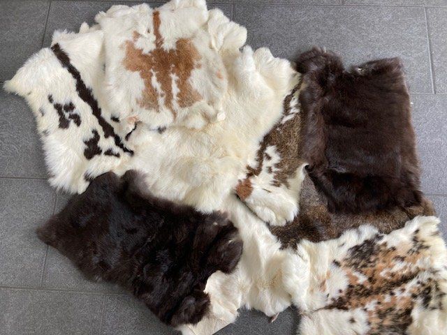 Kit bricolage: Kaninchenfelle – Nuovo (secondo la descrizione) da Wettingen venduto da hmu_7f8h