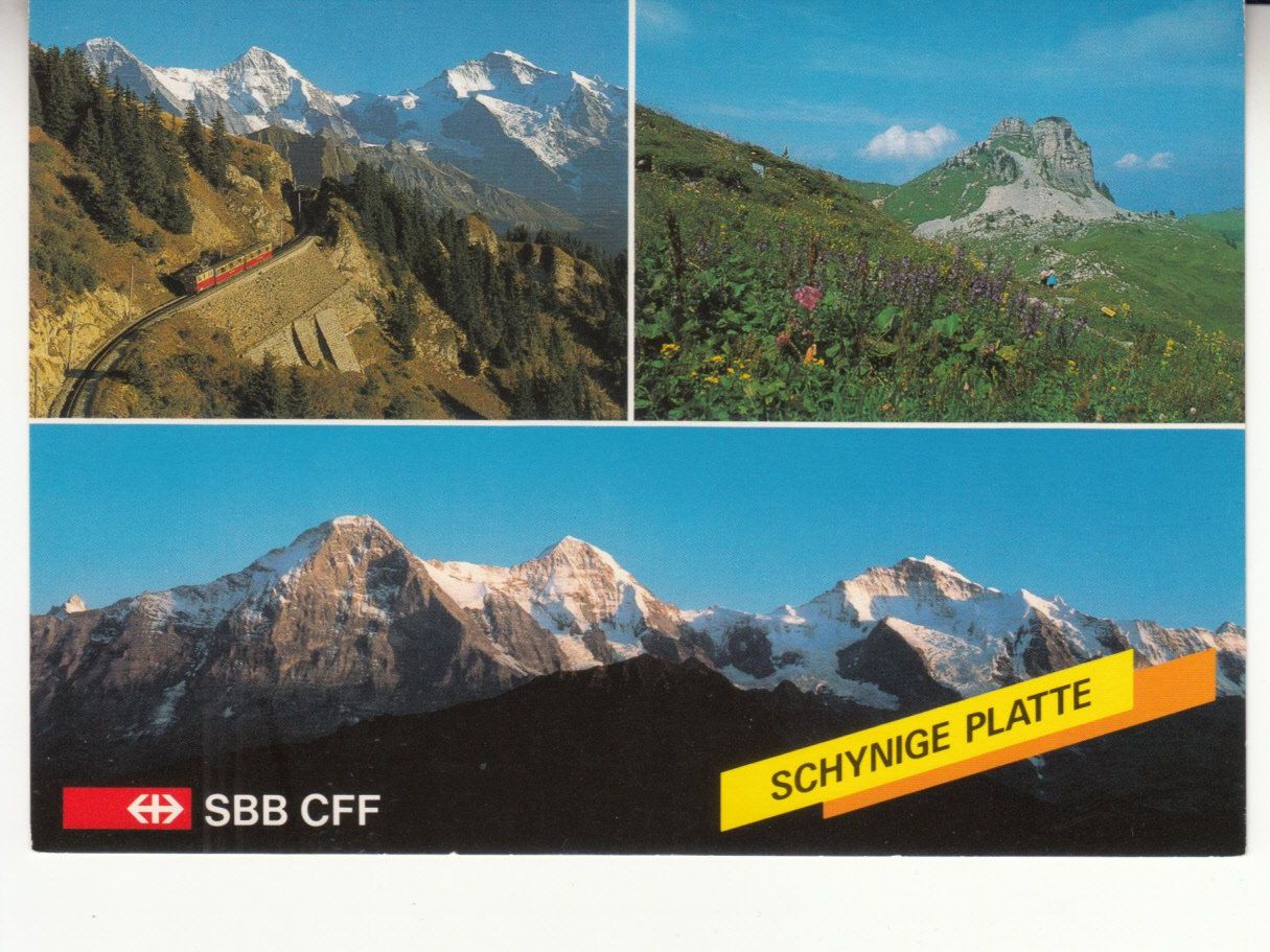 Cartoline postali: Schynige Platte ca. 1980 – Usato da Bürglen TG venduto da StampGraf