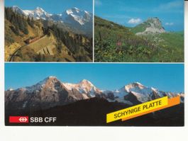 Schynige Platte ca. 1980