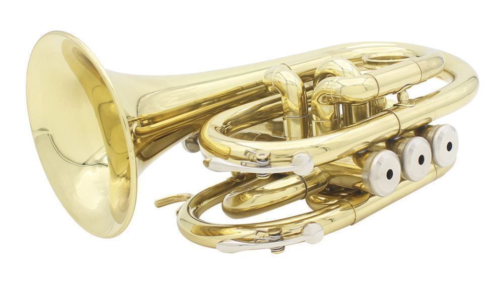 Strumenti musicali: Mini Taschentrompete – Nuovo (secondo la descrizione) da Chur venduto da _xtronix_ 5