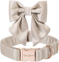 schickes Halsband und Leine