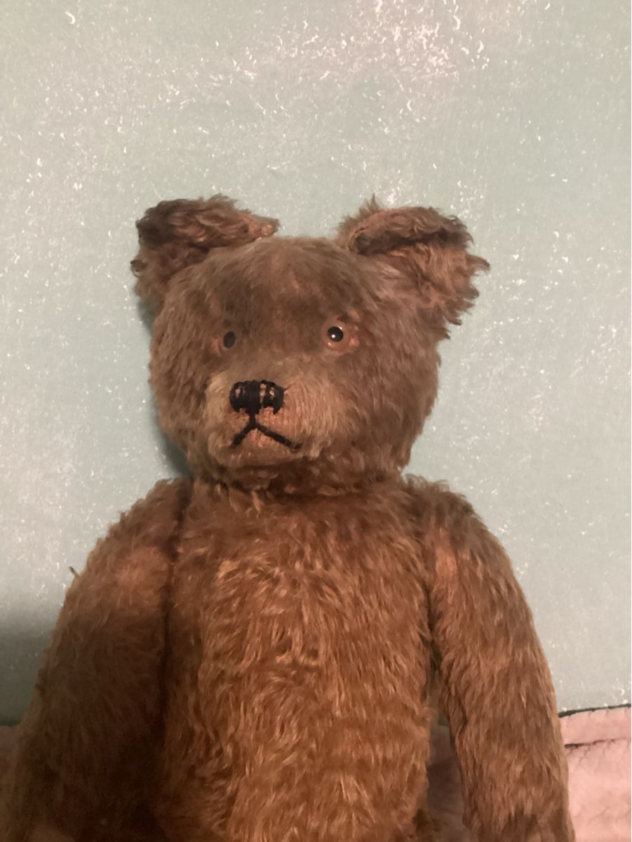 Steiff Giocattoli: ANTIKER TEDDY STEIFF? – Usato da Münchenstein venduto da NoSu98 1
