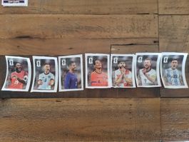 7 WM Cola Panini Sticker