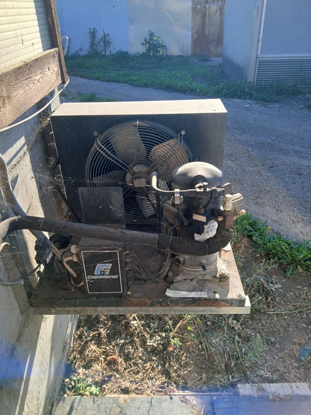 Tecnica di mungitura: Milchtank 1750 Liter – Usato da Mühlau venduto da HeimN 3