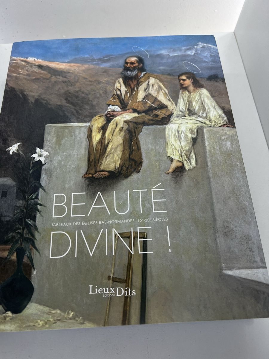 Libri: Beauté Divine 408 Pages – Usato da Wettingen venduto da NickInc
