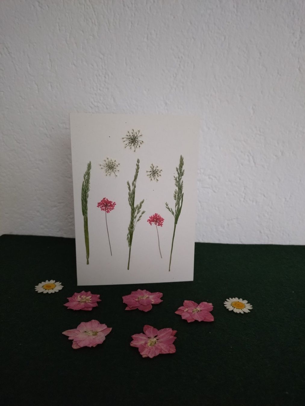 Cartoline: Grusskarte mit echten Blüten – Nuovo e nell'imballaggio originale da Kilchberg ZH venduto da chr_g5kn