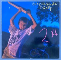 GUADALCANAL DIARY - 2X4