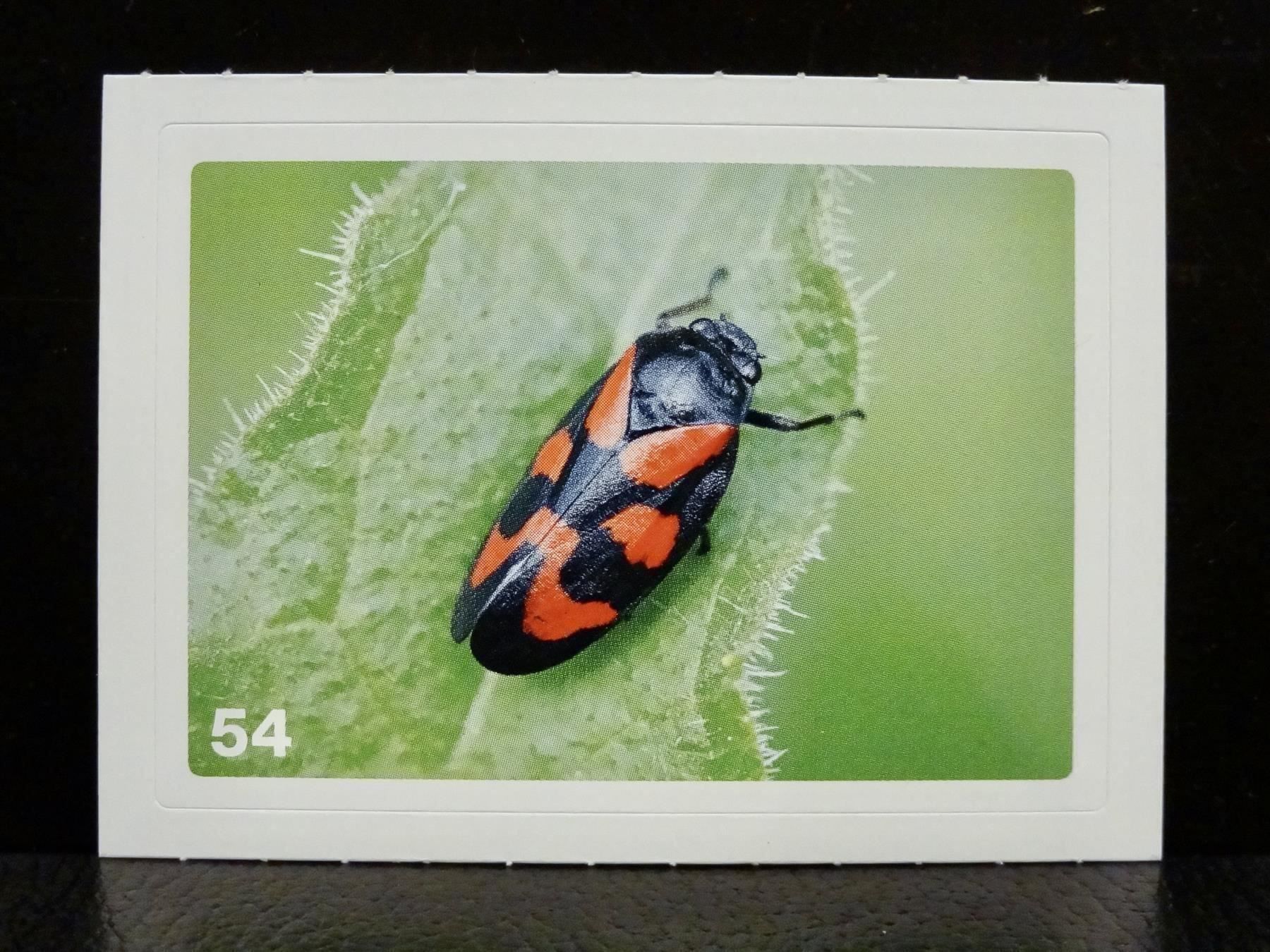 Migros Sammelbilder & Trading cards: MIGROS MANIA Nature Detectives Nr. 54 – Gebraucht aus Kerzers von zimmergruen