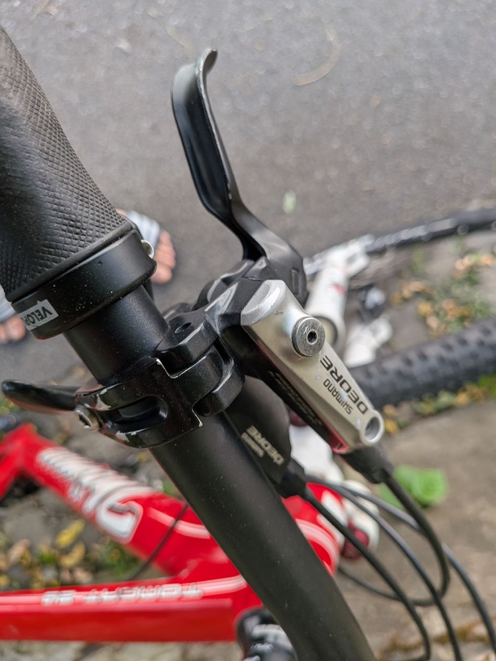 Thömus Biciclette: Thömus Bike – Usato da Bern venduto da Runner007 4