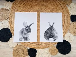 Süsse Häsli Poster 30 x 40 cm Schwarz weiss