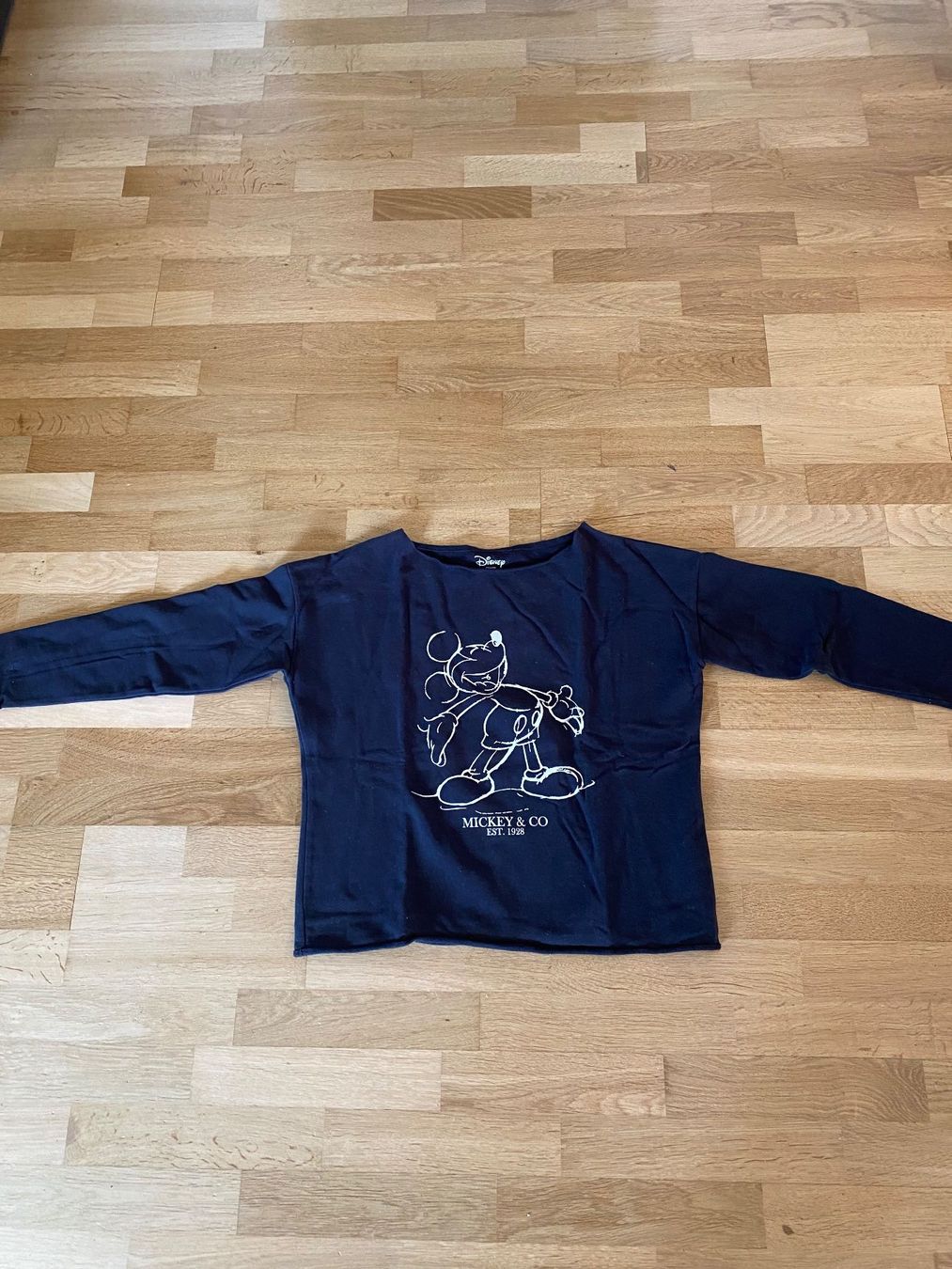 Maglioni & Felpe: Disney Sweatshirt Hoodie Grösse S Pullover – Usato da St. Gallen venduto da ka_mo