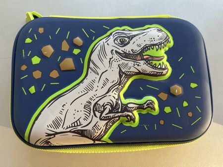 Etui mit Dino-Motiv, wenig gebraucht