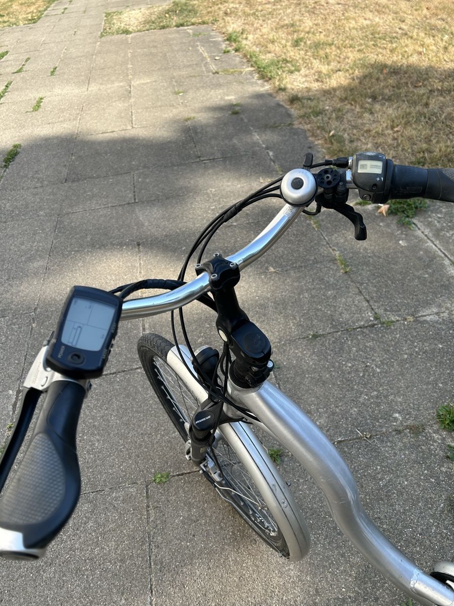 Flyer Biciclette: Flyer Dekekt für ersatzteile spendler oder export – Usato da Egerkingen venduto da G1970B 4