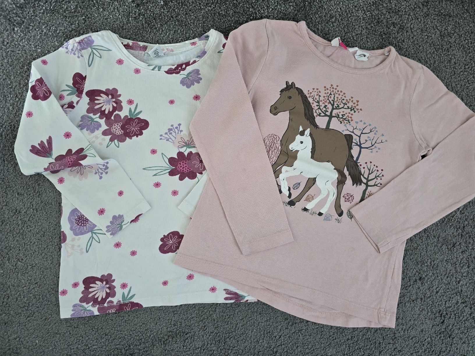 Maglioni & Felpe: 2 Langarmshirts Grösse 110-116 – Usato da Unterentfelden venduto da Panda-87