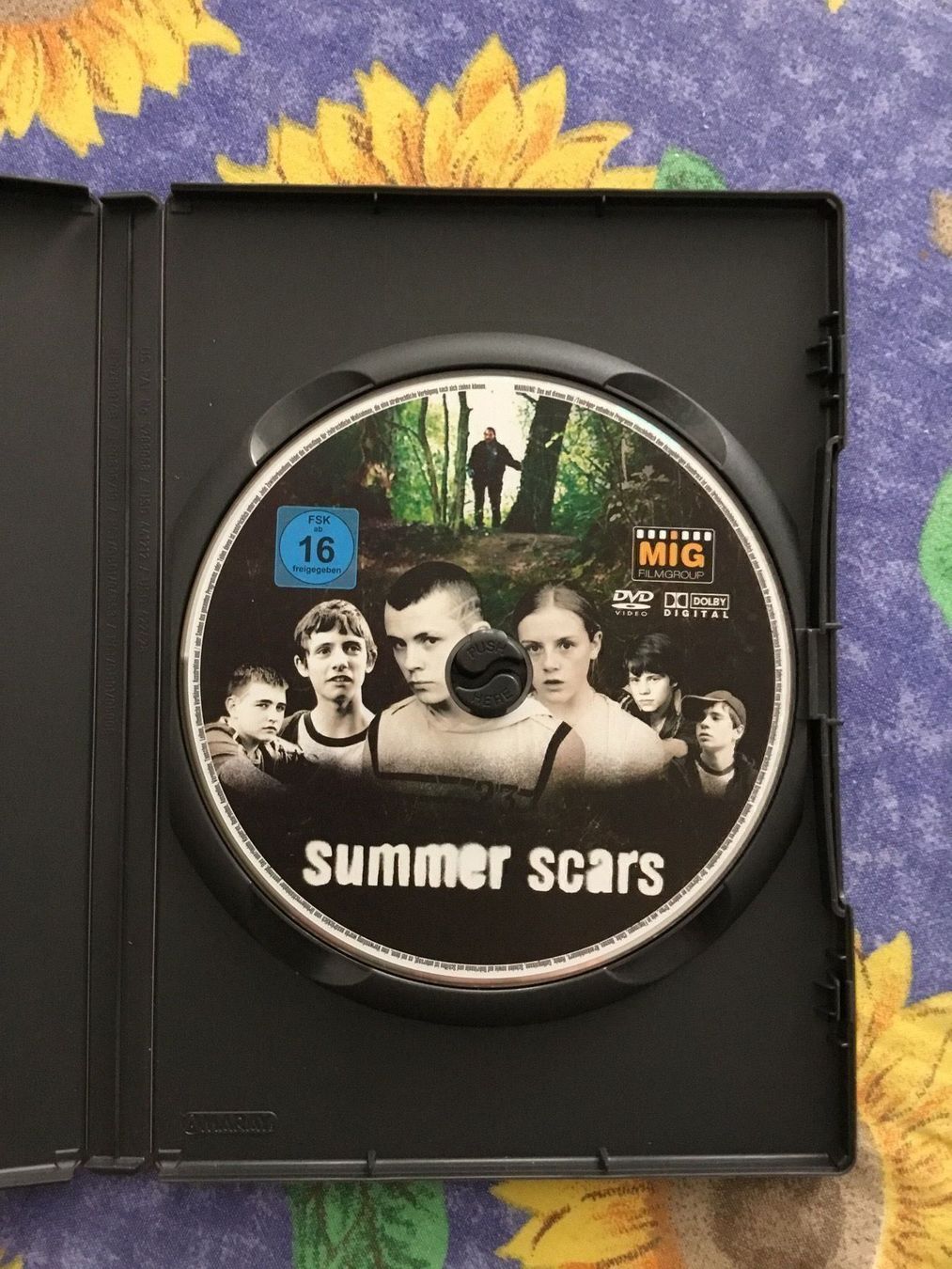 Tutti i DVDs: Summer Scars dvd – Usato da Blauen venduto da berlingo65 2