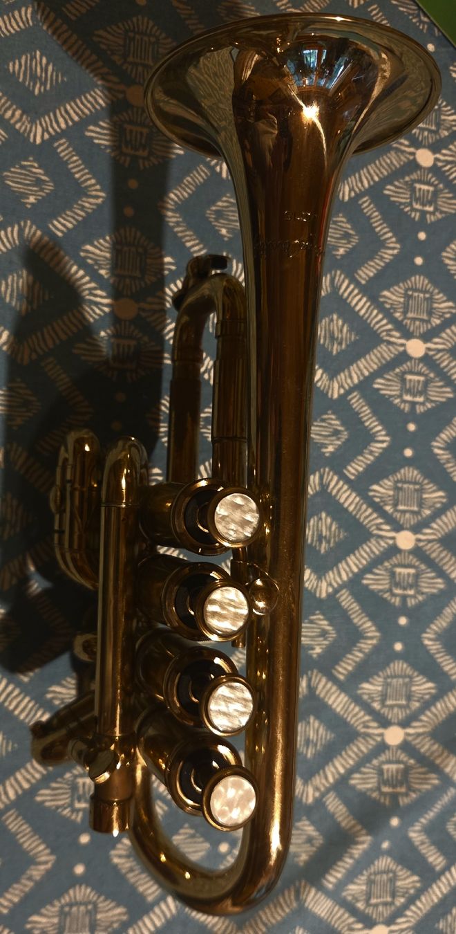 Strumenti musicali: trompette piccolo courtoy – Usato da euseigne venduto da lou_d8bw 1