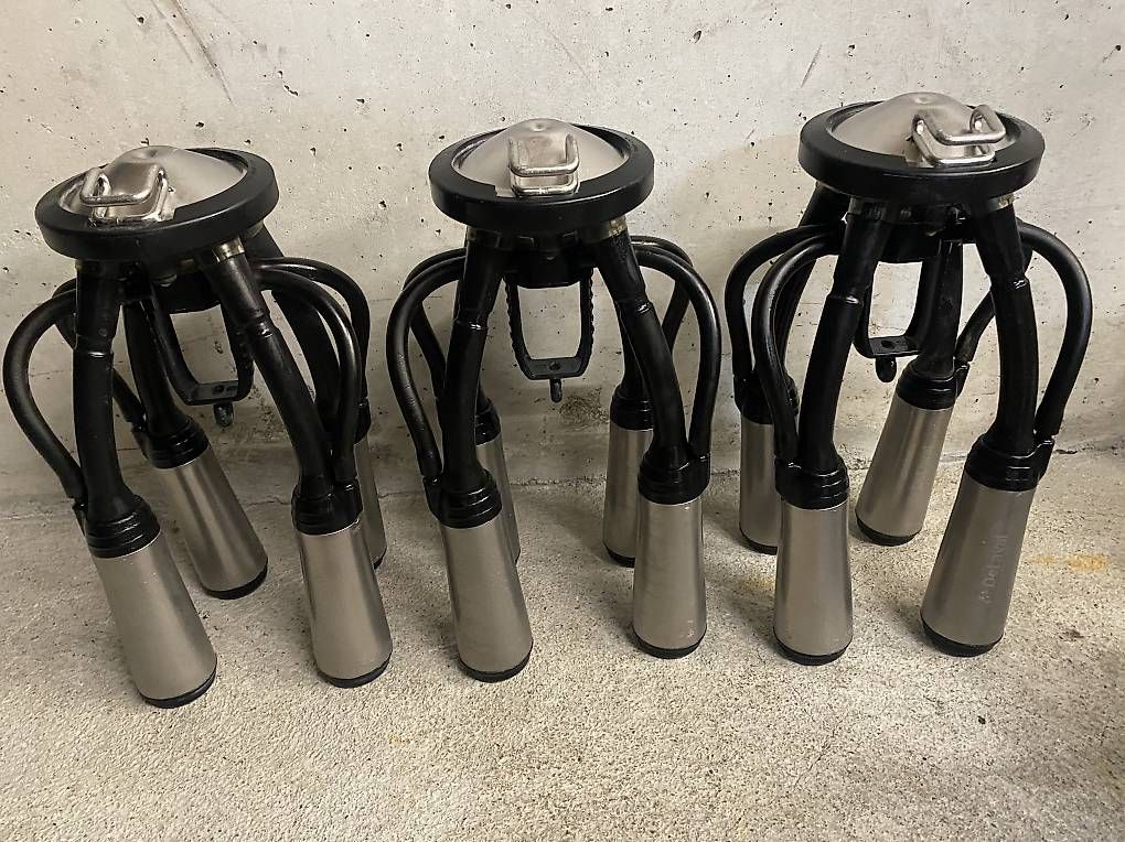 Delaval Altro per industria metallurgica: De Laval M3 Sammelstück Evanza – Usato da Entlebuch venduto da Qonix