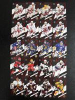 Sport zoo playoff /30