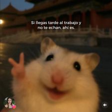 Profile image of adr_ll6j