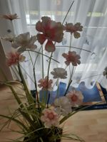 Kunstgras mit Blumen
