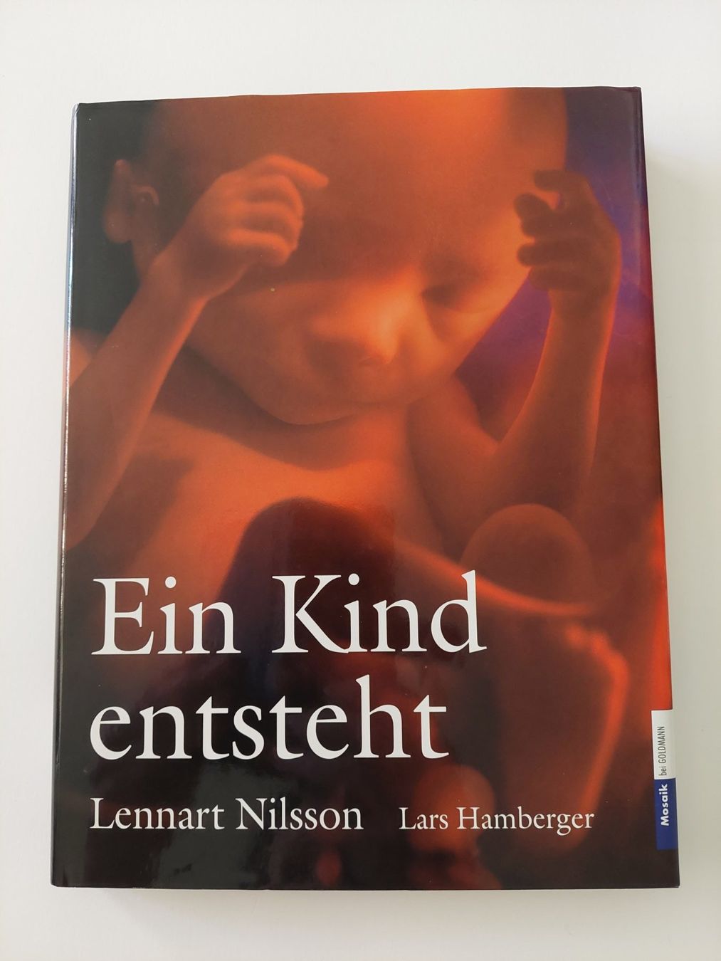 Libri: Ein Kind entsteht – Usato da Ostermundigen venduto da BagsAndMore