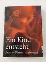 Ein Kind entsteht