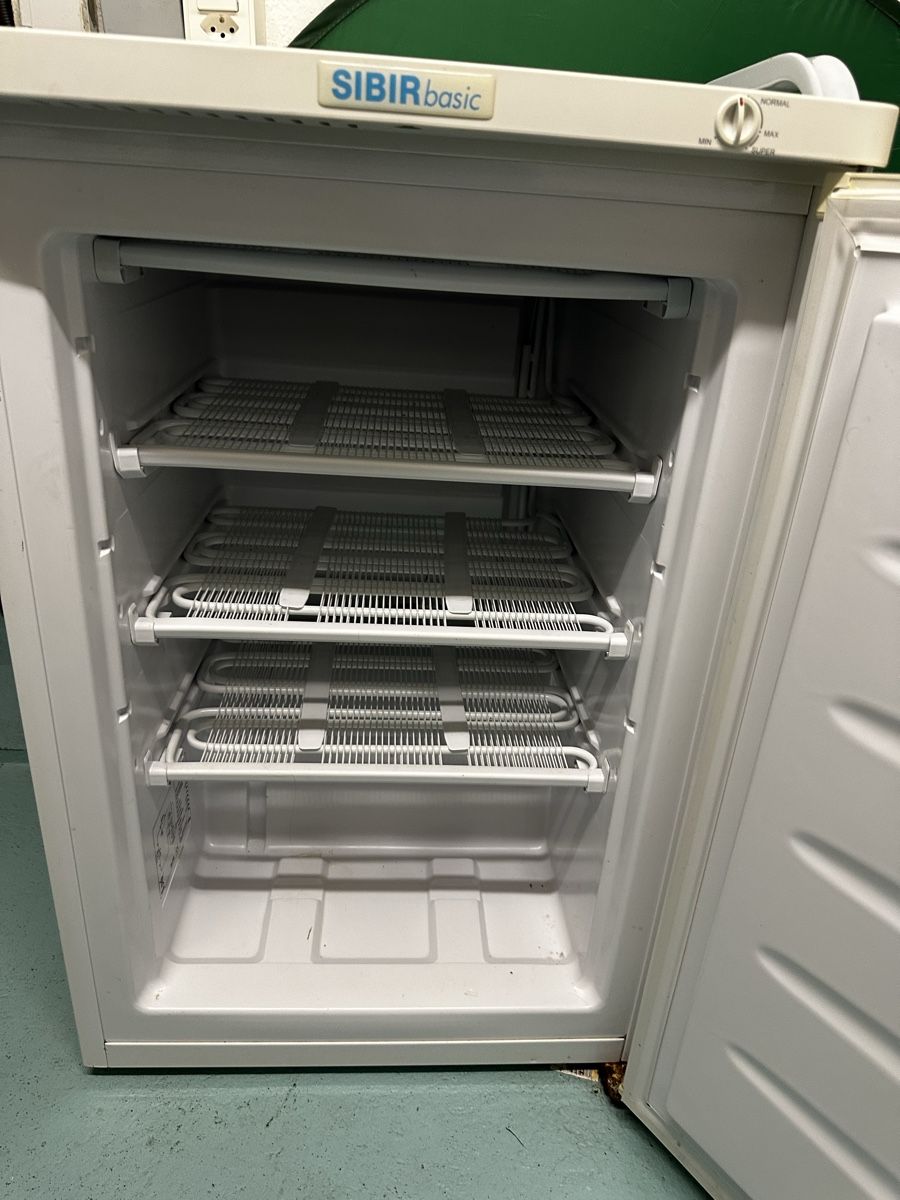 Congelatori: Sibir Freezer Gebraucht – Usato da Adliswil venduto da eyalspier 2