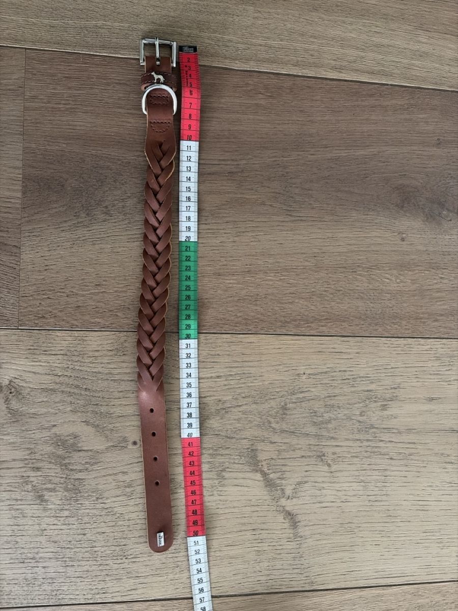 Hunter Guinzagli & Collari: Halsband Leder (Hunter) – Nuovo (secondo la descrizione) da Greifensee venduto da erdmannli333 3