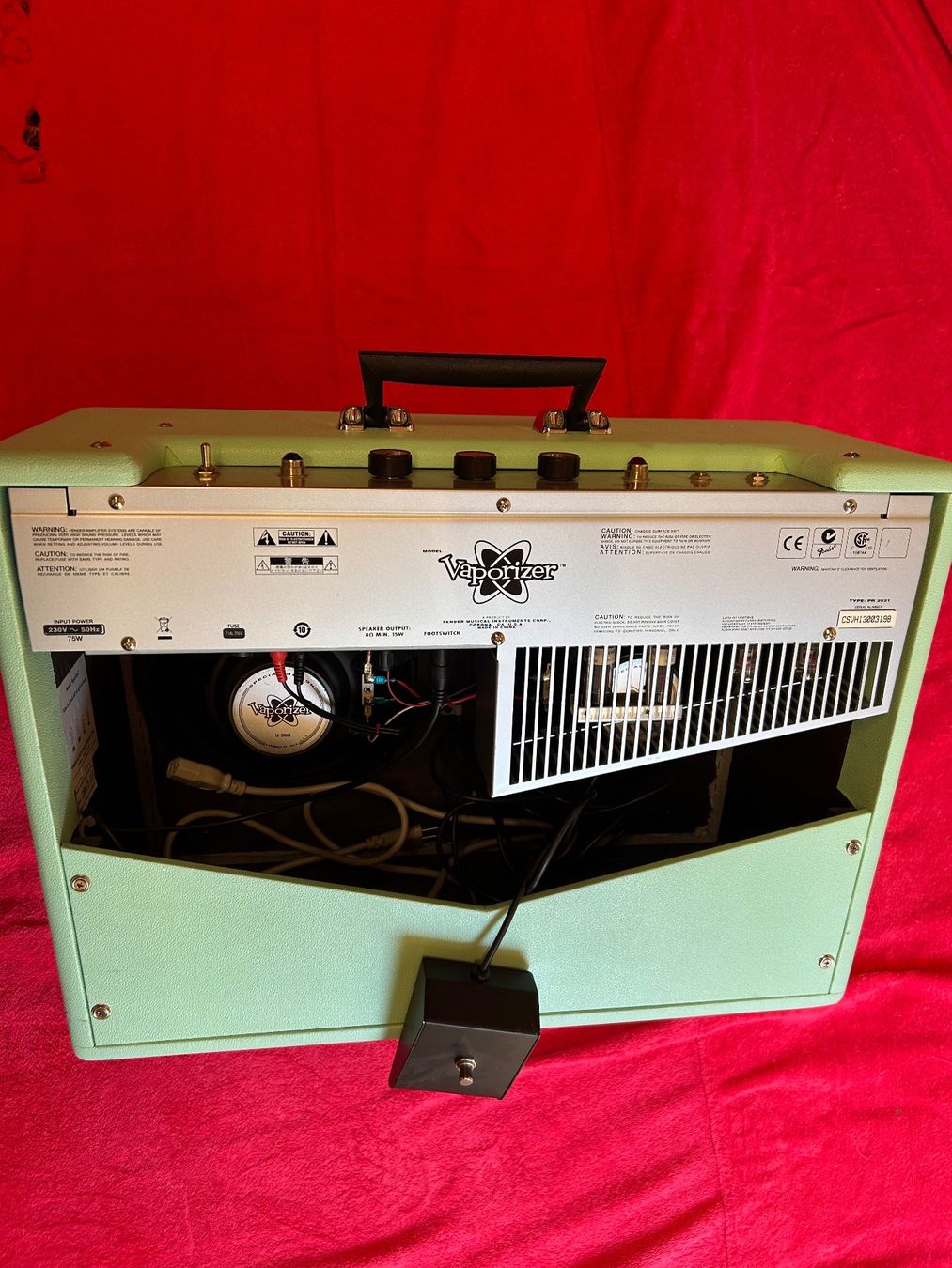 Fender Amplificatori: Fender Röhren-Gitarrenverstärker Vaporizer – Usato da Brigerbad venduto da artigji 1