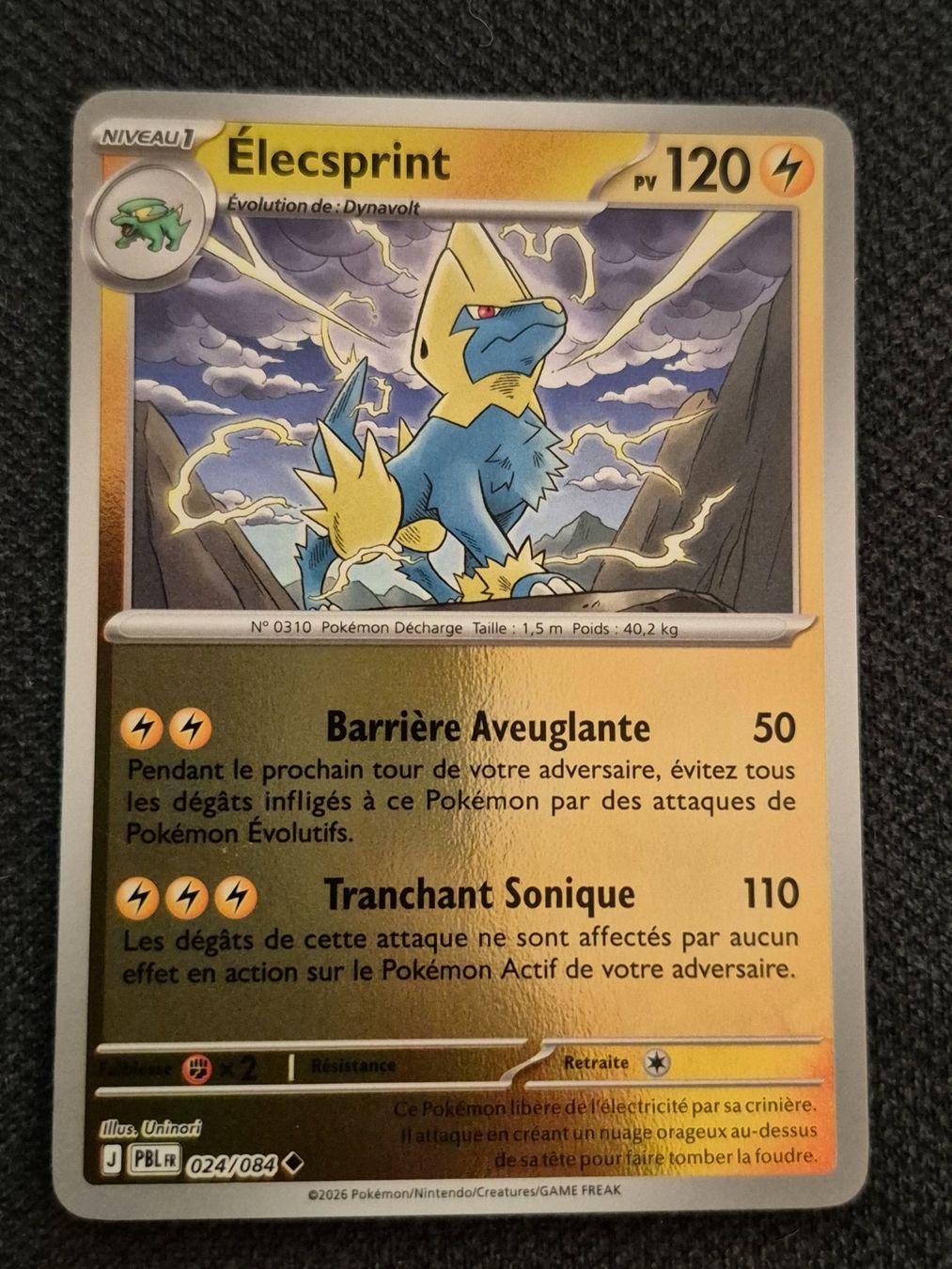 Pokémon Carte collezionabili: ÉLECSPRINT 024/084 REVERSE POKEMON NUIT NOIRE – Usato da Grand-Lancy venduto da luc111