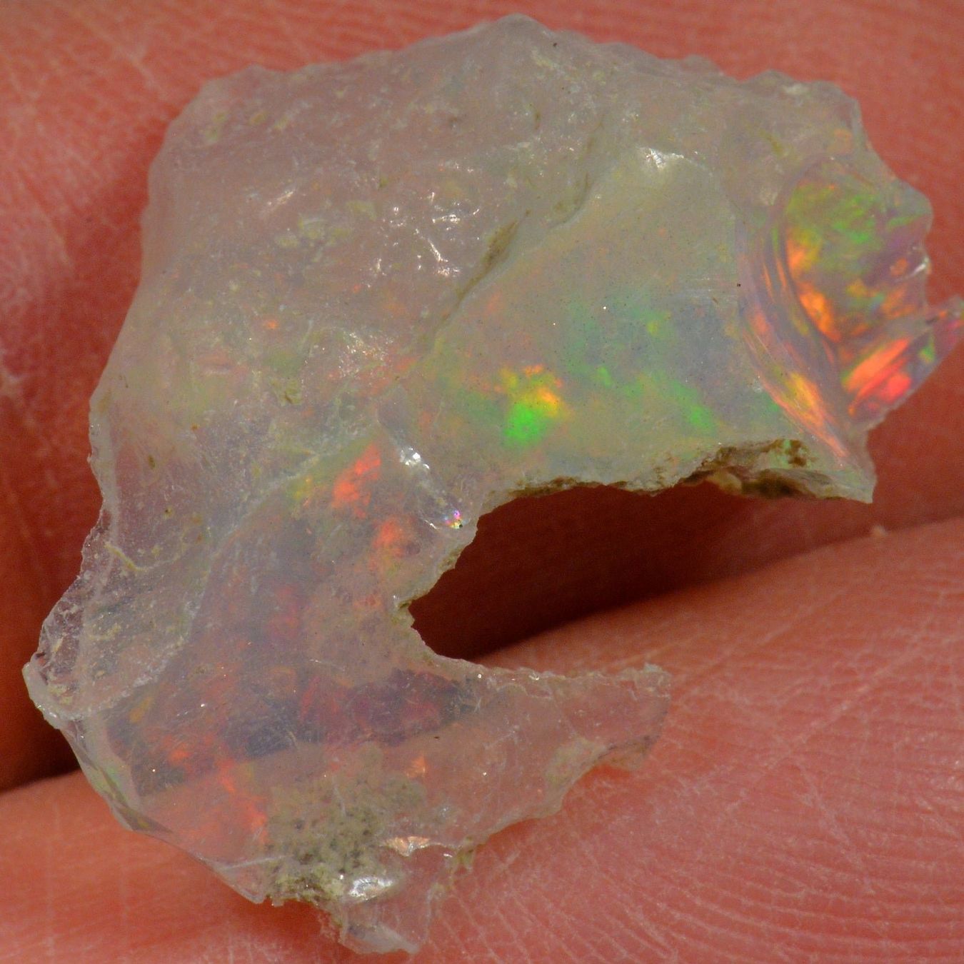 Pietre preziose: 7.6 Karat - Roher Äthiopischer Welo Opal – Nuovo (secondo la descrizione) da Rüti ZH venduto da DeinOpal 4