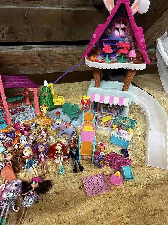 Spielzeuge: Puppen Enchantimals Set – Gebraucht aus Schwyz von sdesiree 1