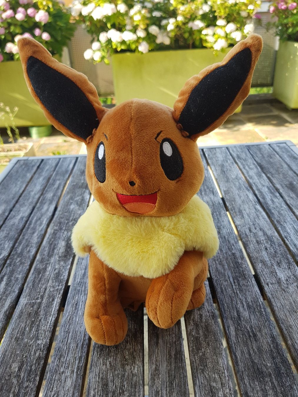 Pokémon Spielzeuge: Plüschfigur Evoli – Gebraucht aus Jona von dampfnuggi