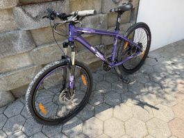 Scott Contessa