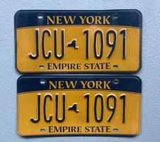 🇺🇸🇺🇸 USA Nummernschilderpaar  # NEW YORK # 🇺🇸🇺🇸