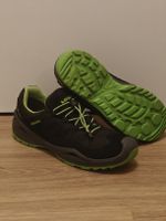 Lowa GTX Gore-Tex 40