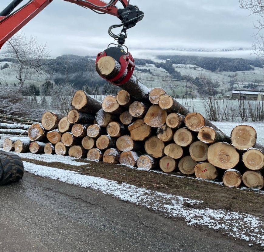 Pinze: Holzzange/ Forstgreifer 1.27m/ 3t Rotator – Nuovo e nell'imballaggio originale da Steinhuserberg venduto da FK93 2