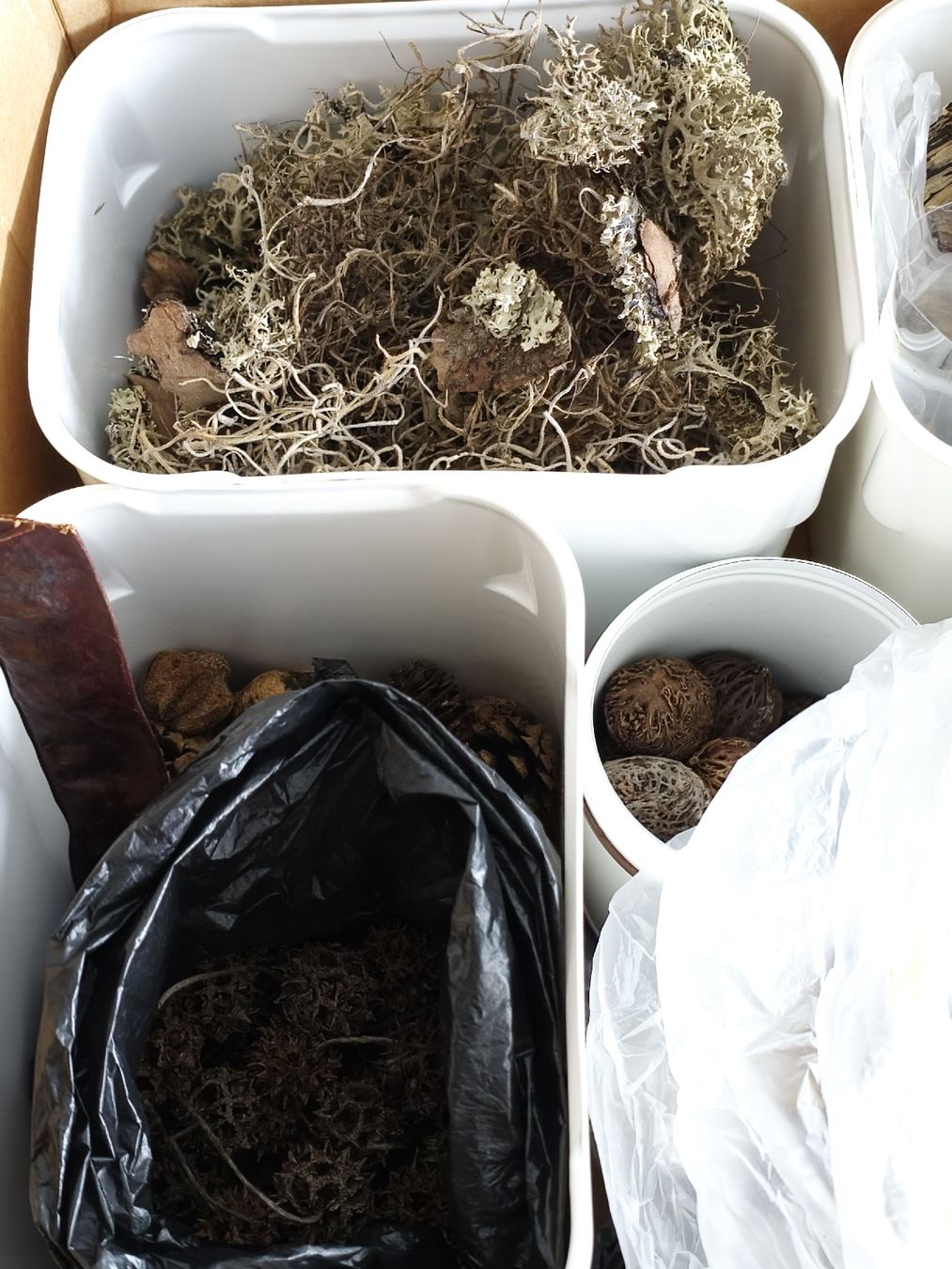 Tutte le decorazioni: Dekomaterial, diverses aus Naturmaterialien – Usato da Morschach venduto da Monikawi 1