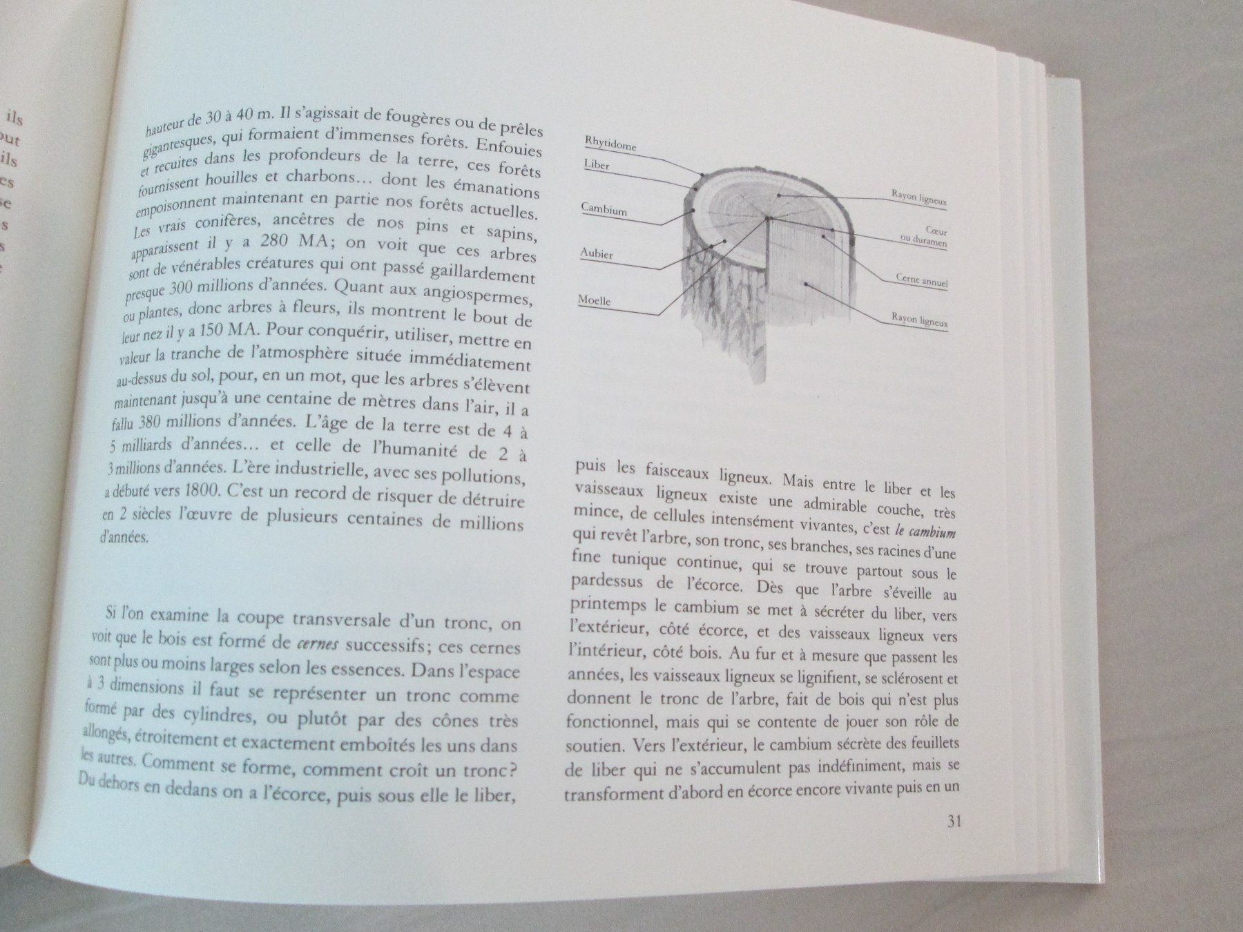 Libri: La forêt neuchâteloise – Usato da Neuchâtel venduto da Dualseele 4