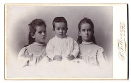 Fotografie P. Tillmann, Bern, Sommerleis