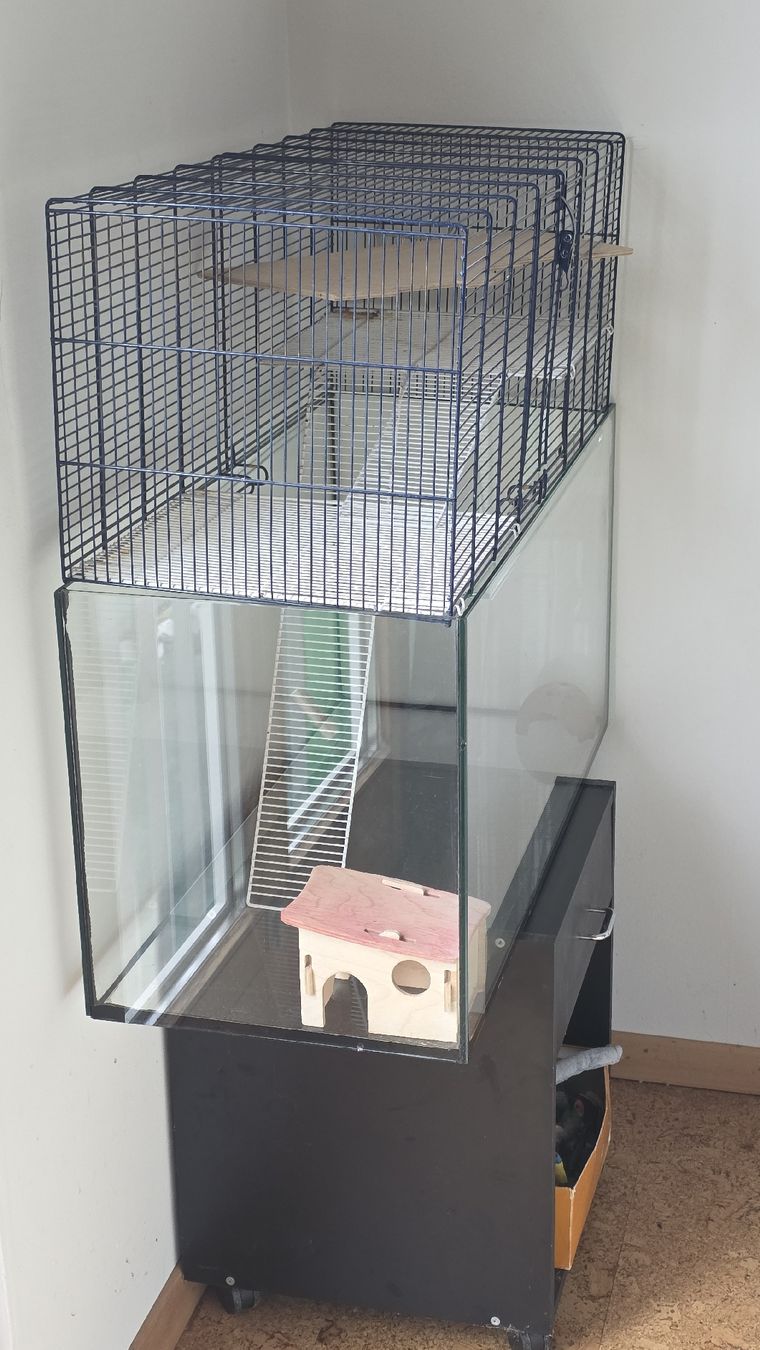 Gabbie, trasporto & Sicurezza: Nagetier,Mäuse, Hamster Käfig – Usato da Boll venduto da Julia41 2